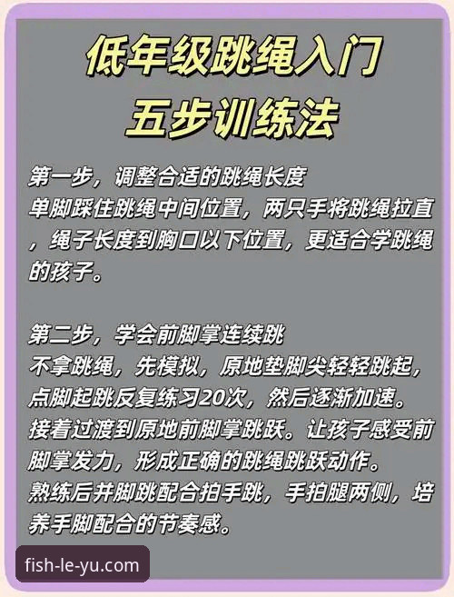 乐鱼体育平台最新使用教程与实用技巧分享：从入门到精通的全攻略