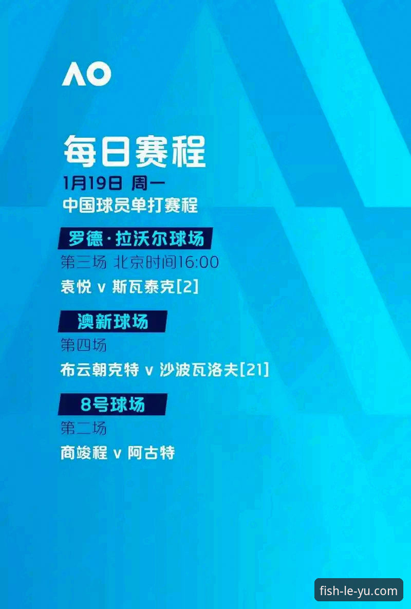 乐鱼体育赛事数据深度分析：从新手到专家的完整使用指南