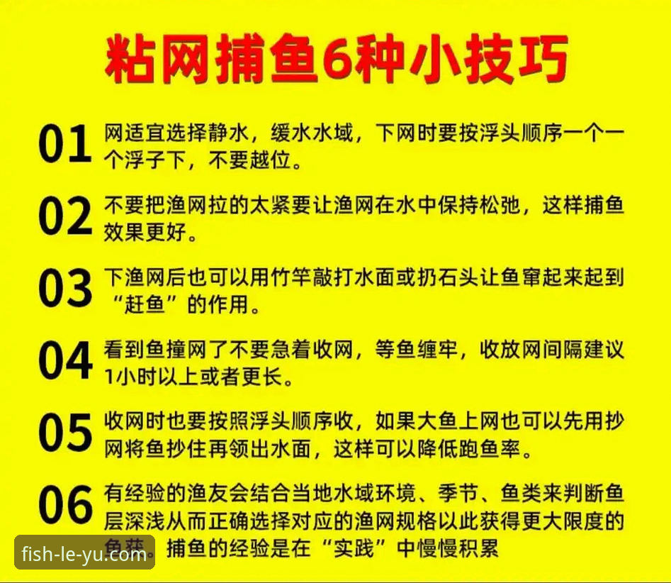 解决乐鱼平台使用问题的5个实战技巧：从下载到客服快速上手