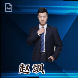 赵飒